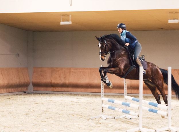 Enjoy your Pony Time!