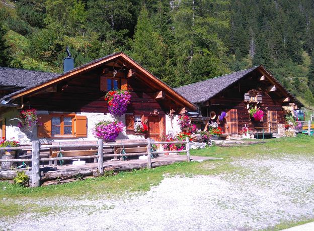 Geführte Wanderung mit Hunden zur Brüggele Alpe