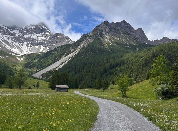 Geführte Wanderung mit Hunden zur Brüggele Alpe