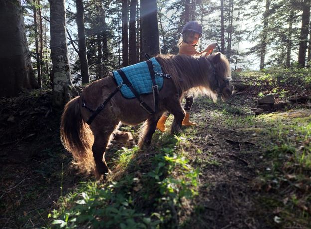Pony Children’s Afternoon