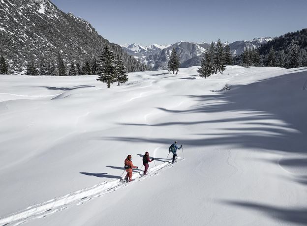 BergAKTIV - Guided Snowshoe Hike Nature intense