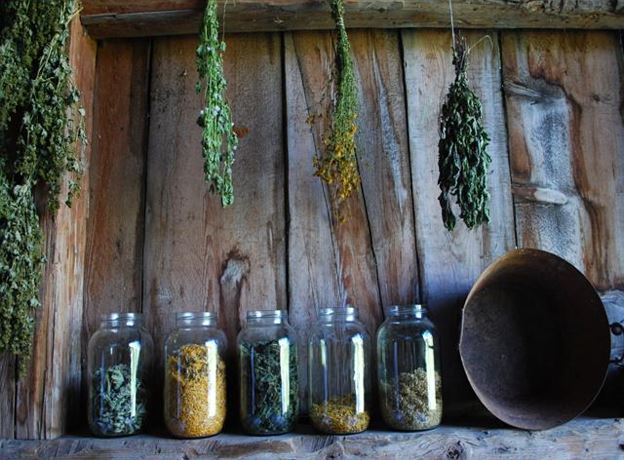 Herbal Wisdom with Birgit & Peggy
