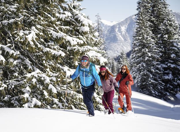 Snowshoe Taster Tour in Bürserberg with Peter
